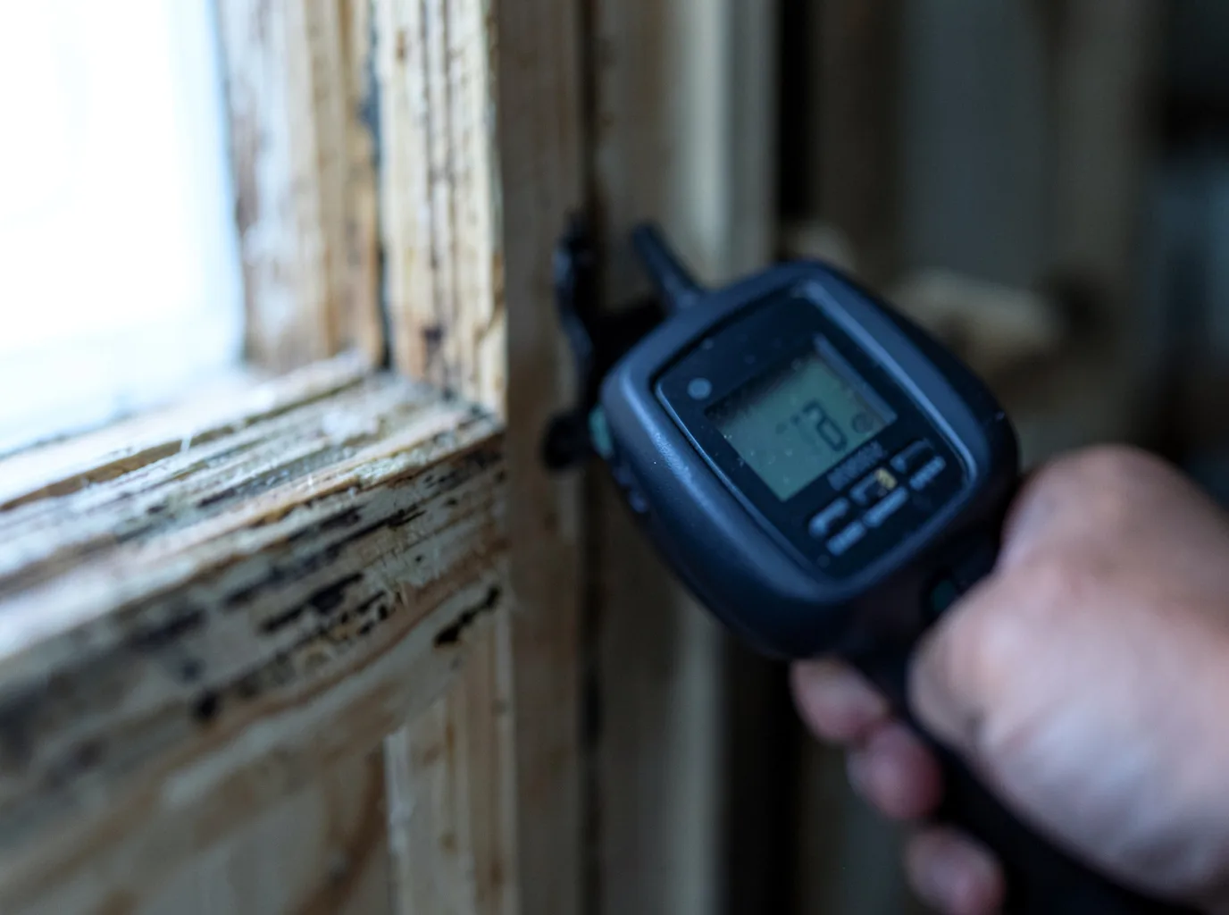 Commercial Water Damage Restoration in Bethel, MN